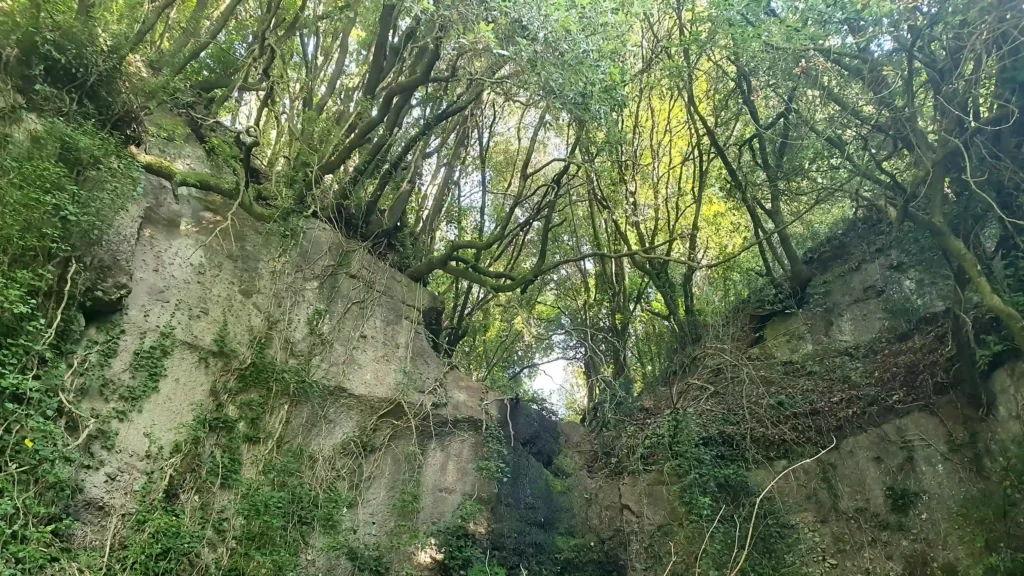 Escursione Lazio Lago di Nemi Parco Castelli Romani GreenTrek.it