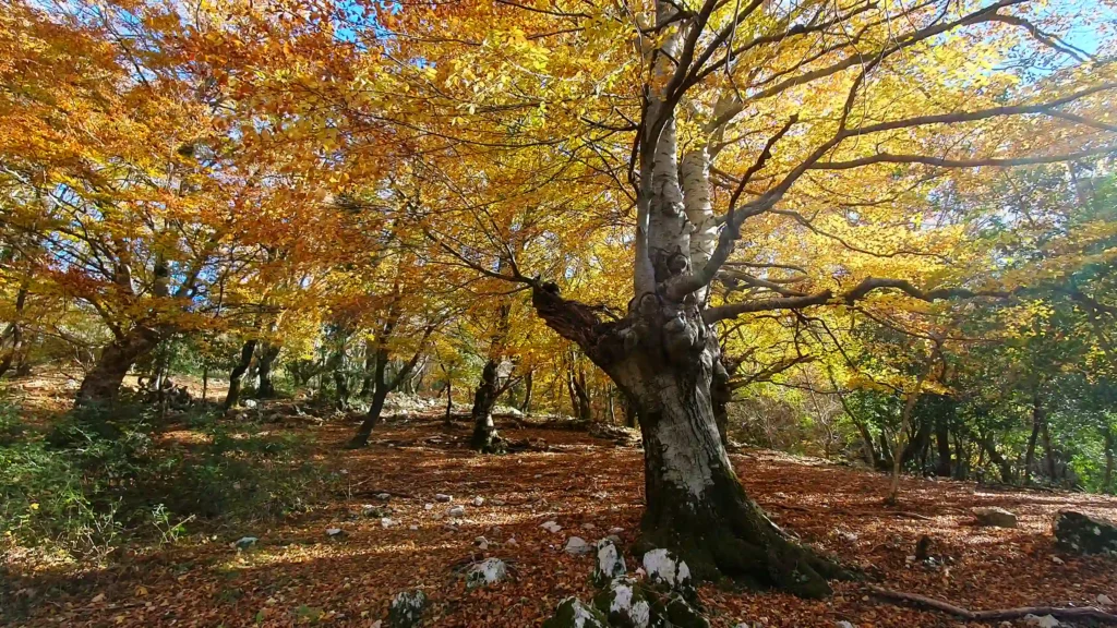 Escursione Lazio Monte Gennaro